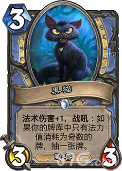 炉石传说黑猫