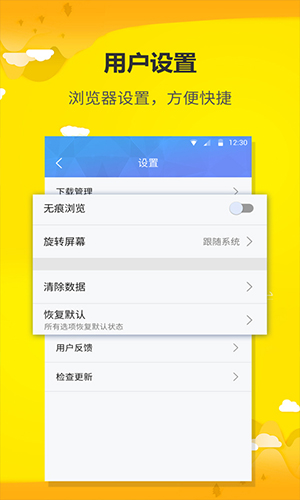 VIP浏览器app截图2