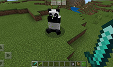 我的世界熊猫在哪 出没位置介绍