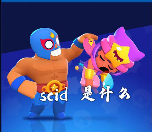 荒野乱斗scid是什么