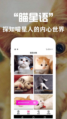 狗语翻译交流器app截图5