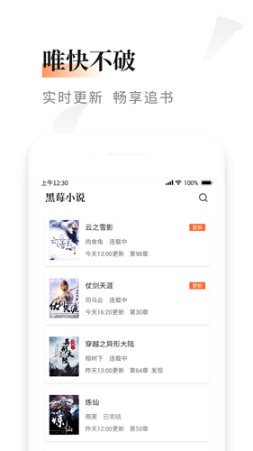 黑莓小说APP2