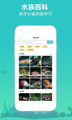 泡泡水族app3