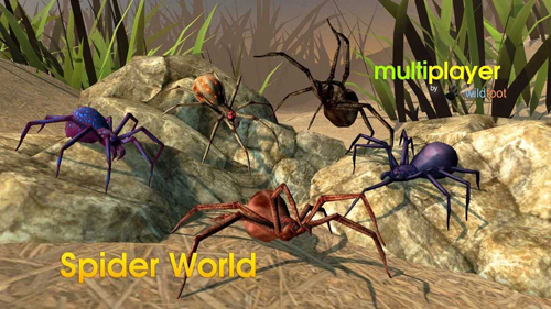蜘蛛世界截图2