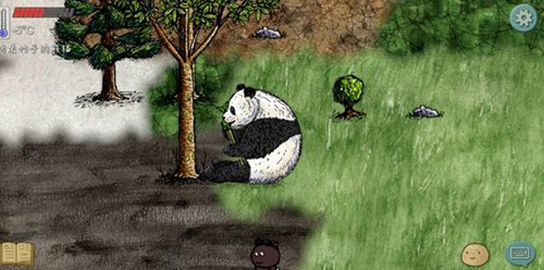 华夏人生怎么刷熊猫
