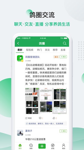 中国信鸽信息网app截图2