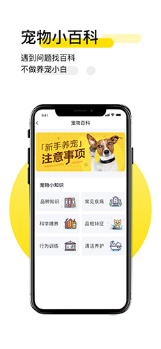 共宠app截图3