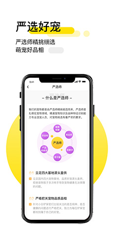 共宠app截图1