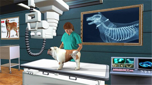 宠物医院模拟器截图4