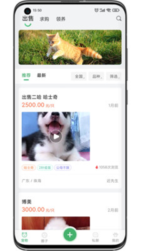 友宠app截图2