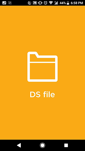 DS file1