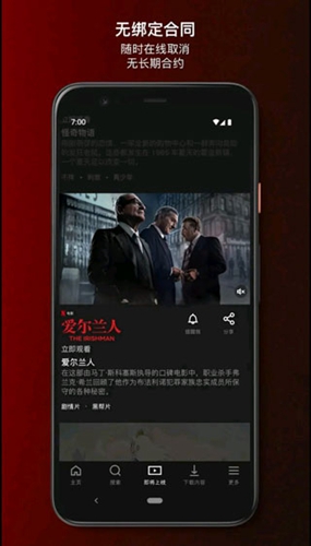 奈飞安卓app截图5