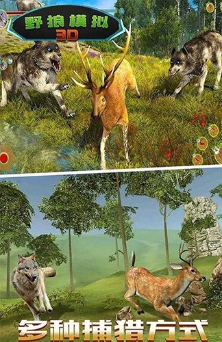 野狼模拟3D中文版截图2