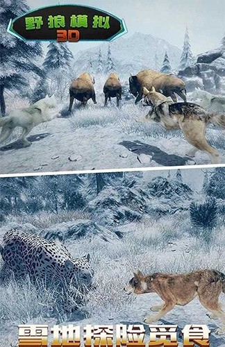 野狼模拟3D中文版截图1