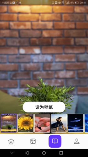 皮皮助手app2