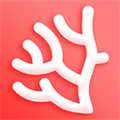 珊瑚文学app最新版