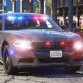 警车模拟驾驶器2023无限金币版