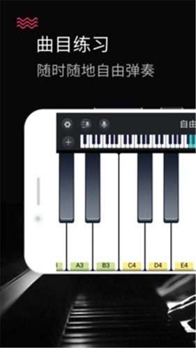 模拟钢琴键盘app手机版截图3