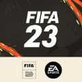 Companion FIFA23