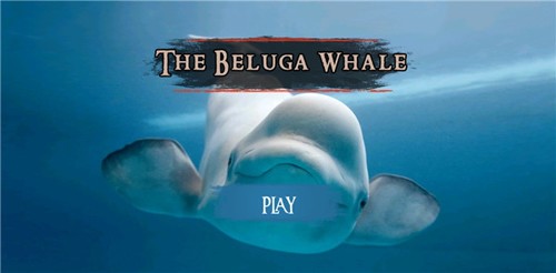 The Beluga Whale最新版截图1