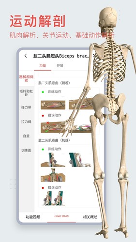 3Dbody解剖app截图1