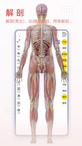 3Dbody手机版截图3