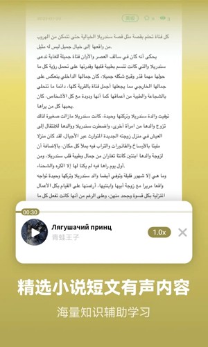 莱特阿拉伯语背单词app截图4