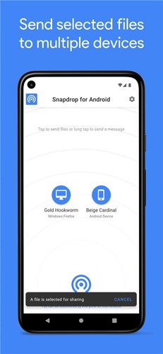 Snapdrop传输文件app截图4