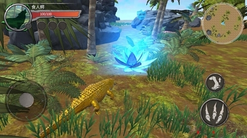 鳄鱼狩猎3D手机版图片3