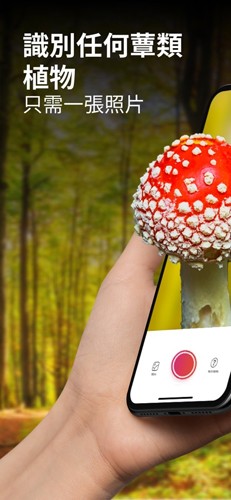 蘑菇识别扫一扫app1