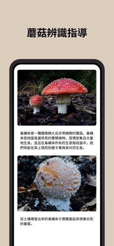 蘑菇识别扫一扫app4