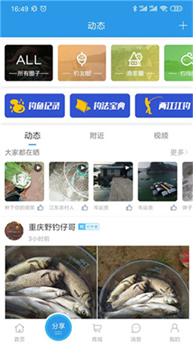 重庆钓鱼网手机版app3