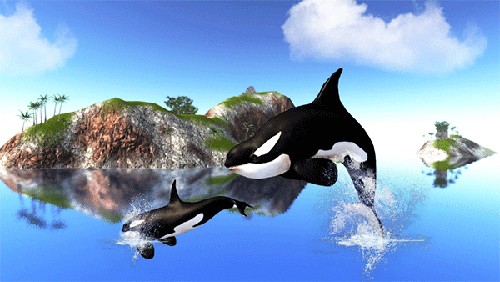 虎鲸模拟器最新版截图5