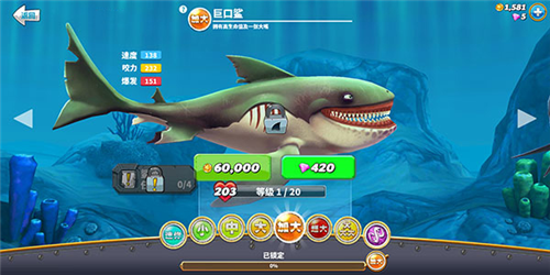 饥饿鲨世界鲨鱼介绍5