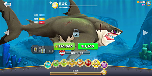 饥饿鲨世界鲨鱼介绍7