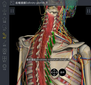 3Dbody解剖手机版1