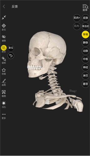 3Dbody解剖手机版6