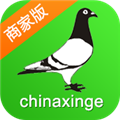 中国信鸽信息网商家版