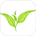 生态大师app