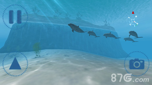 鲨鱼VR截图1