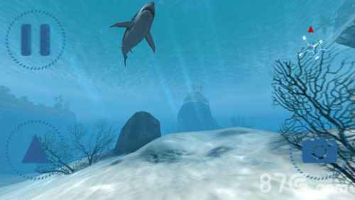 鲨鱼VR截图2