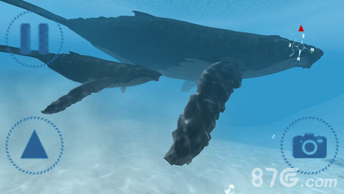 鲨鱼VR截图4