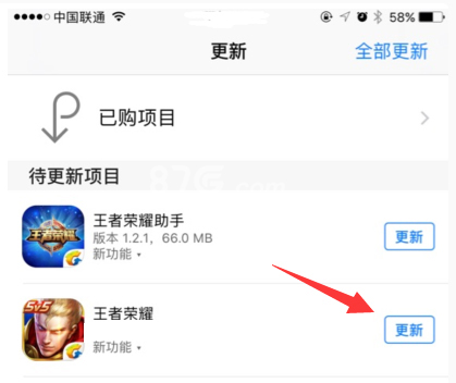 王者荣耀iOS更新不了