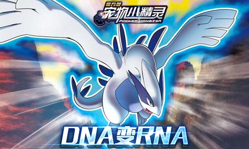 DNA变RNA（可用于黑暗洛奇亚改造）