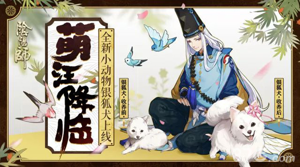 阴阳师全新小动物银狐犬登场1