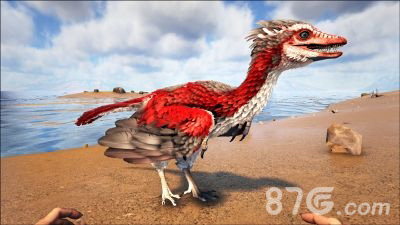 方舟生存进化始祖鸟