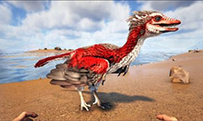 方舟生存进化始祖鸟怎么训 始祖鸟吃什么及分布一览