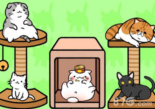 猫咪公寓怎么升级箱子