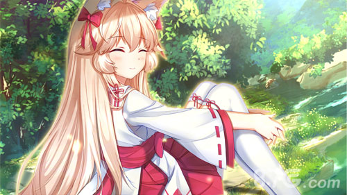 Fox Hime Zero截图3