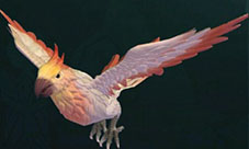 创造与魔法云斑鹦鸟怎么样 云斑鹦鸟速度属性一览